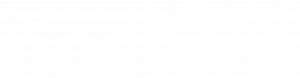 Nosvira_Logo