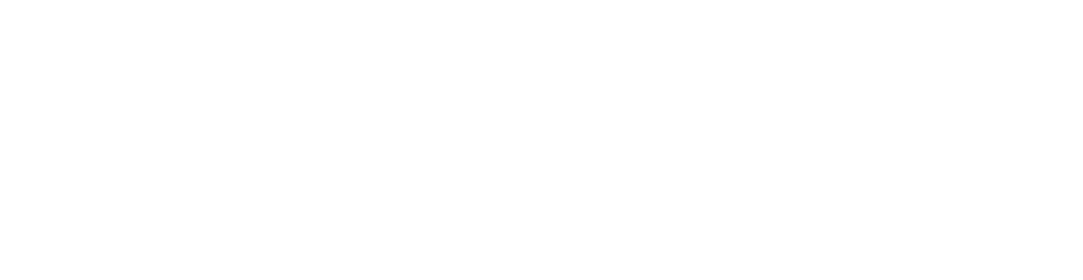 Nosvira_Logo